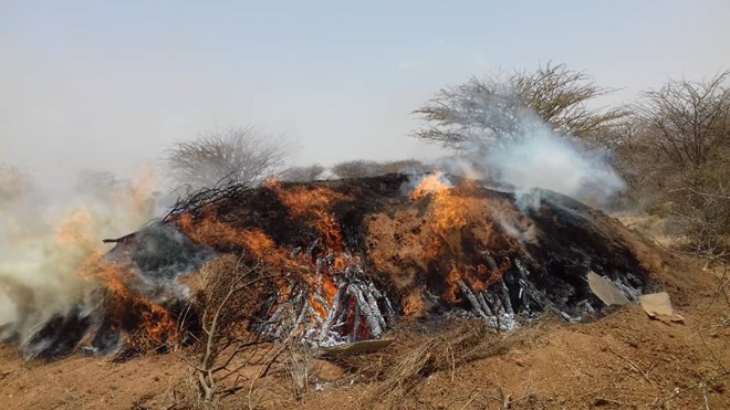 Burning trees Ekos ry